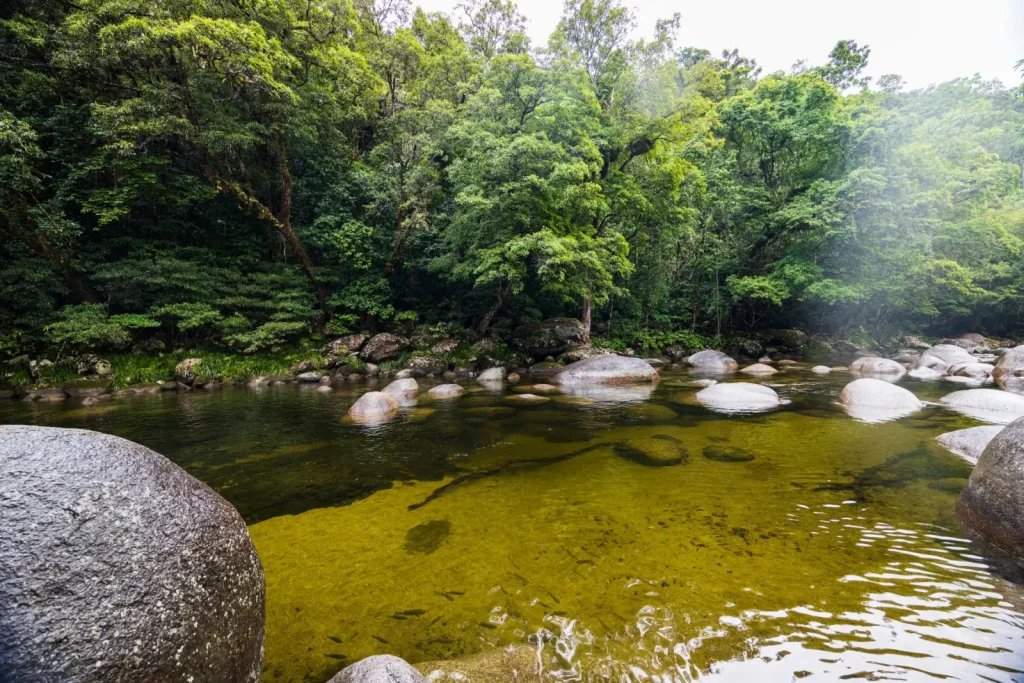 Mossman Gorge: Water, Rock, and What the Rainforest Demands