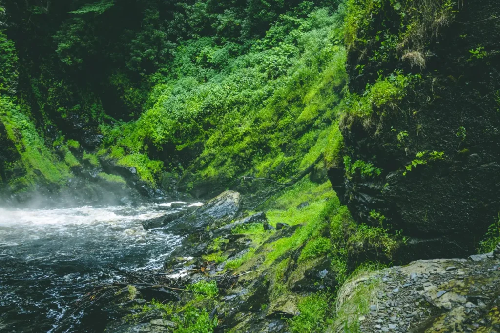 What to Expect in Barron Gorge National Park