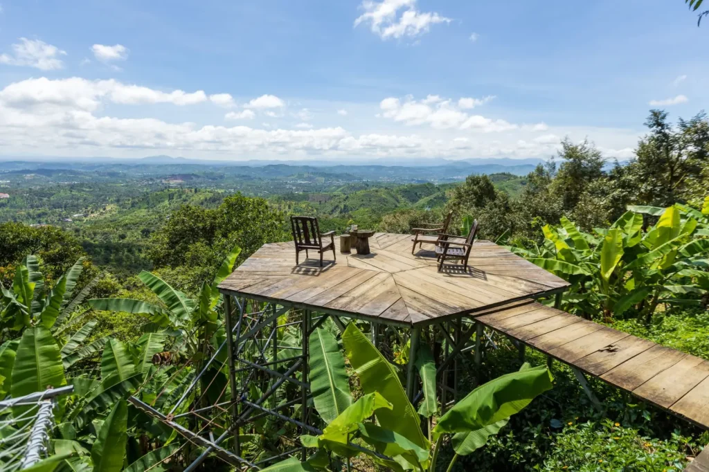 Australian Rainforest Lookouts Worth the Climb
