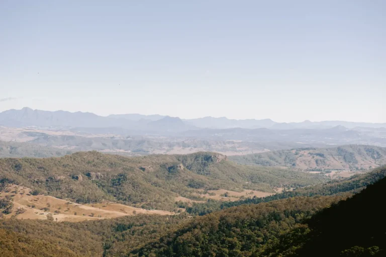 Gondwana's Remnant Forests: What Lamington National Park Actually Reveals Gondwana's Remnant Forests: What Lamington National Park Actually Reveals