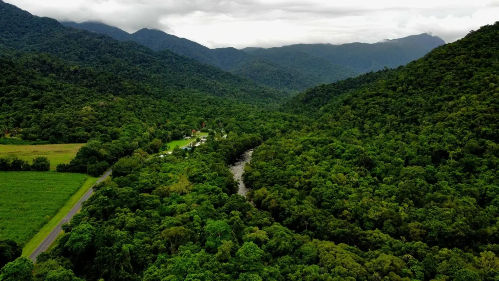 Wooronooran's Rainforest and Mountain Reality