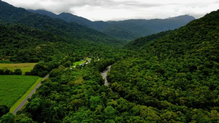 Wooronooran's Rainforest and Mountain Reality Wooronooran's Rainforest and Mountain Reality
