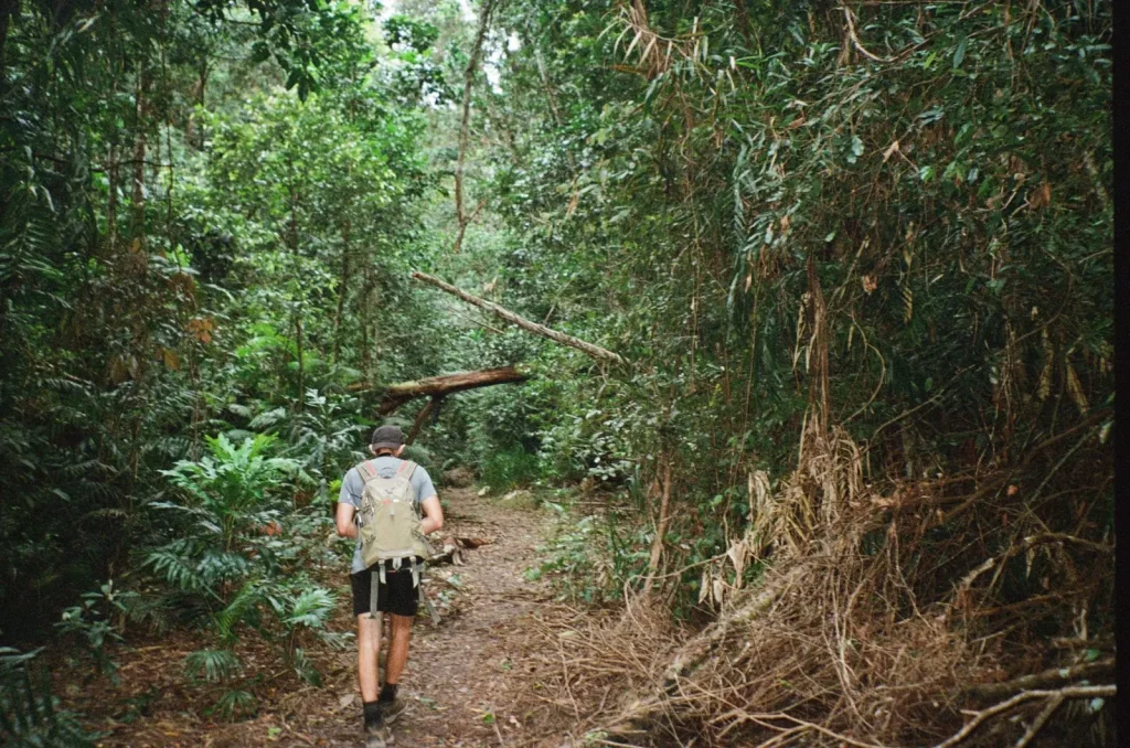 Packing for Queensland Rainforest: What Actually Works