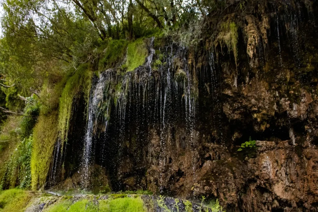 Purling Brook Falls: What the Rainforest Escarpment Actually Demands