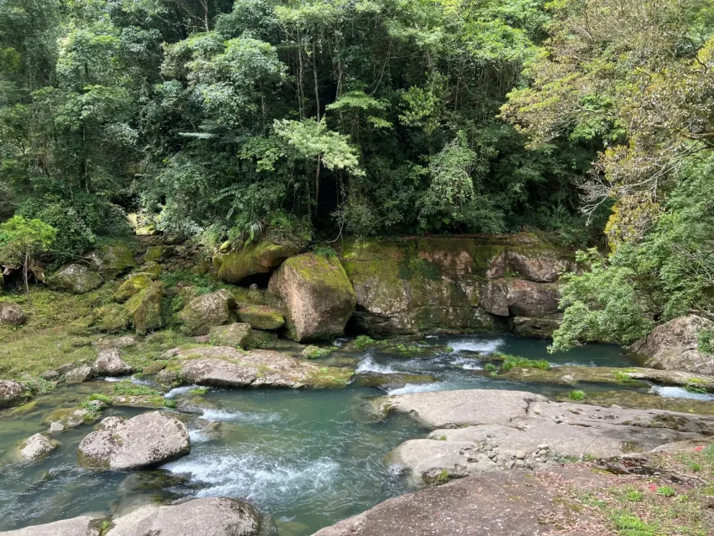 Why Mossman Gorge Stays So Clear