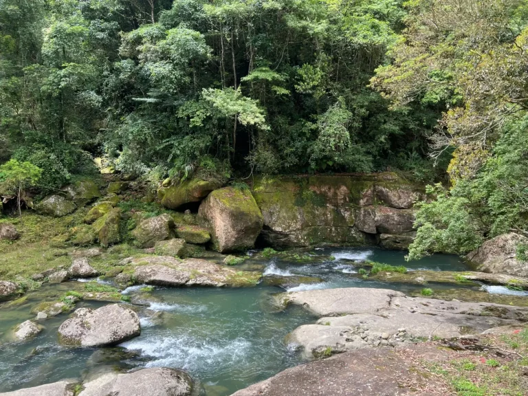 Why Mossman Gorge Stays So Clear Why Mossman Gorge Stays So Clear