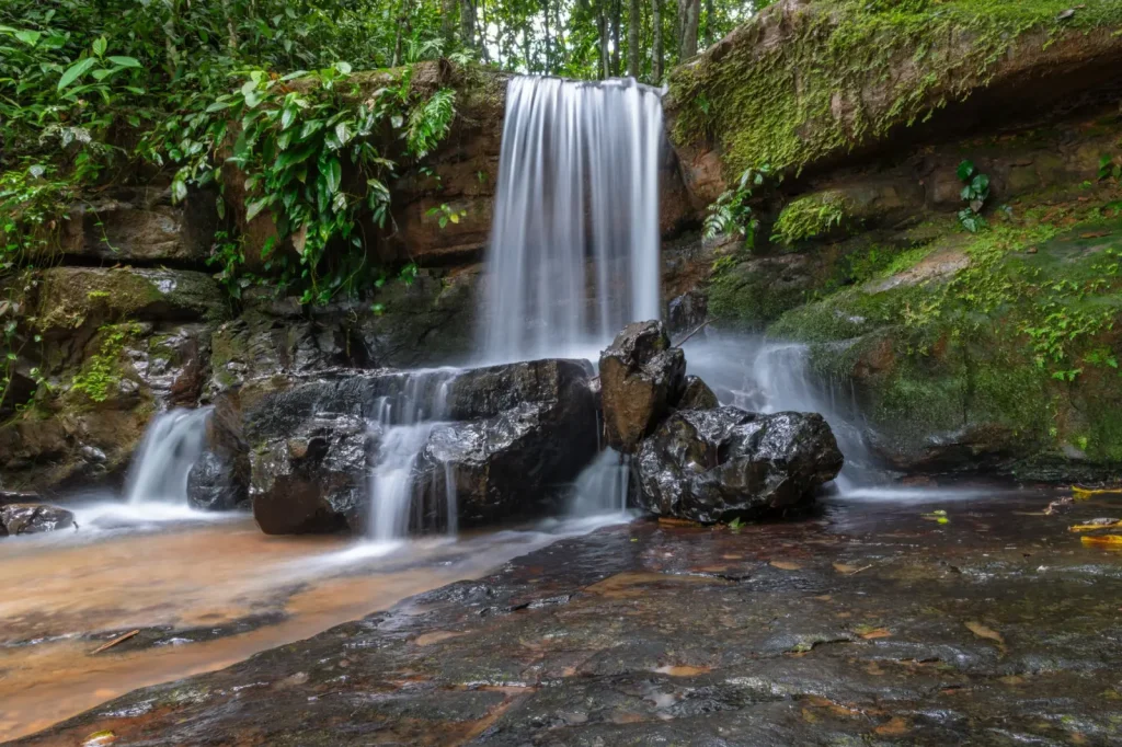 Waterfall Walks in the Wet Tropics: What Actually Works