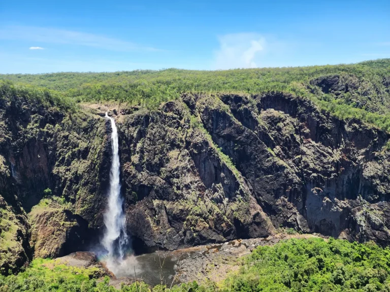 Wallaman Falls: Australia's Tallest Drop and What the Rainforest Wallaman Falls: Australia's Tallest Drop and What the Rainforest