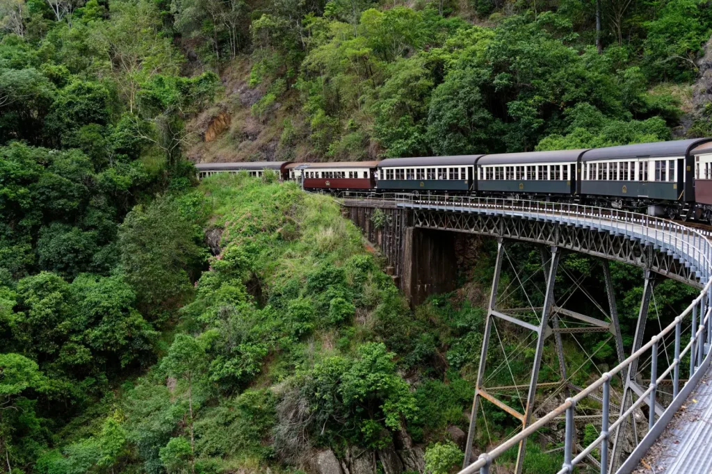 Why the Wet Tropics Earned World Heritage Status