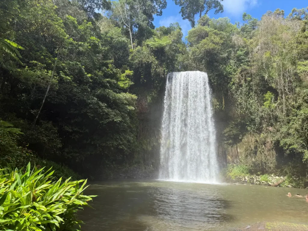 Exploring Atherton Tablelands: Rainforest, Lakes, and Real