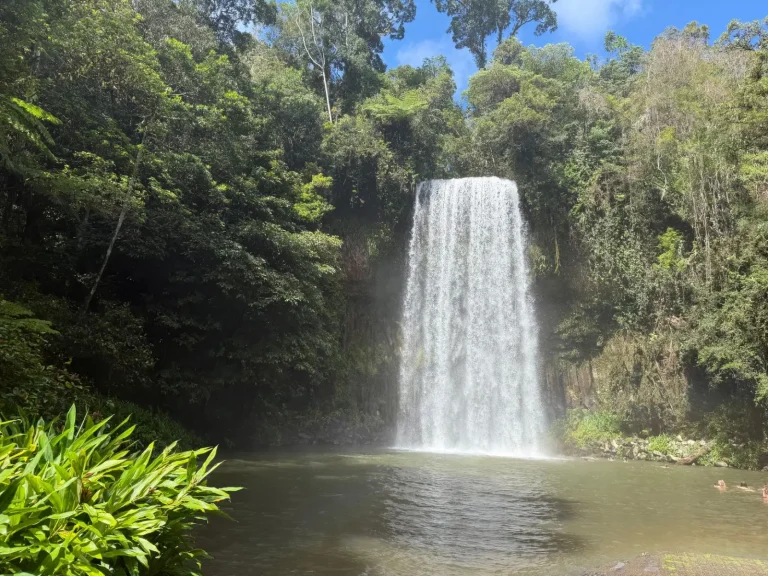 Exploring Atherton Tablelands: Rainforest, Lakes, and Real Exploring Atherton Tablelands: Rainforest, Lakes, and Real