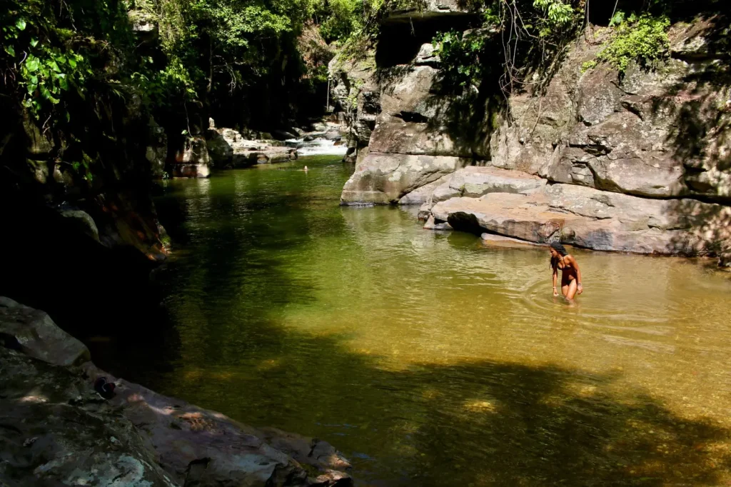 Creek Walking in Gondwana Rainforests: What Actually Happens