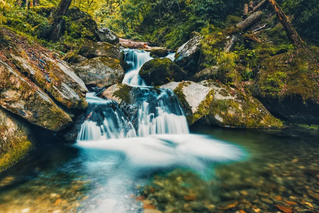 Mount Tamborine's Waterfalls: What Actually Happens on the Ground