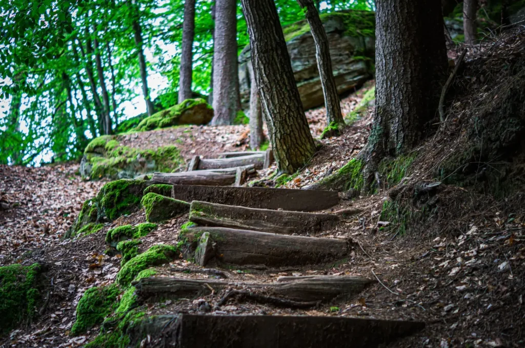 Walking Mount Glorious: What the trails actually demand