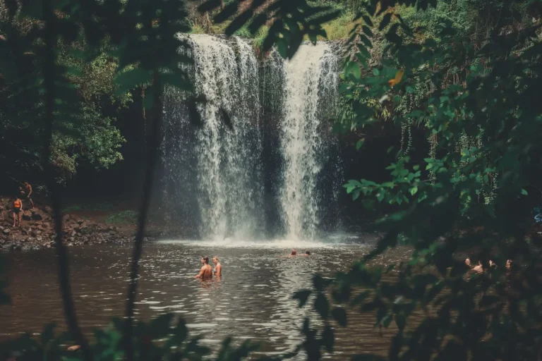 Queensland's Best Rainforest Swimming Holes Beyond the Crowds Queensland's Best Rainforest Swimming Holes Beyond the Crowds
