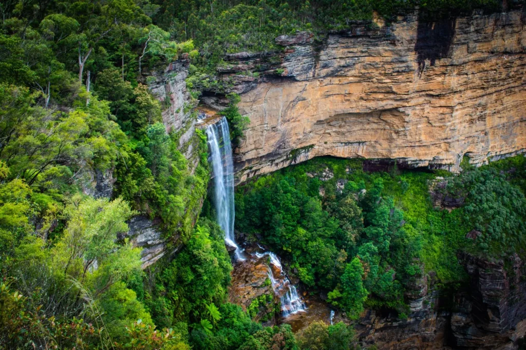 Gold Coast Hinterland Waterfalls: What the Crowds Miss