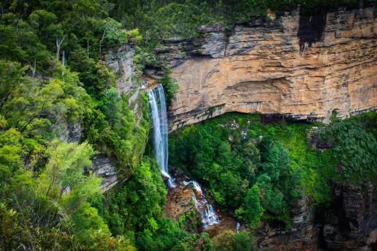 Gold Coast Hinterland Waterfalls: What the Crowds Miss Gold Coast Hinterland Waterfalls: What the Crowds Miss
