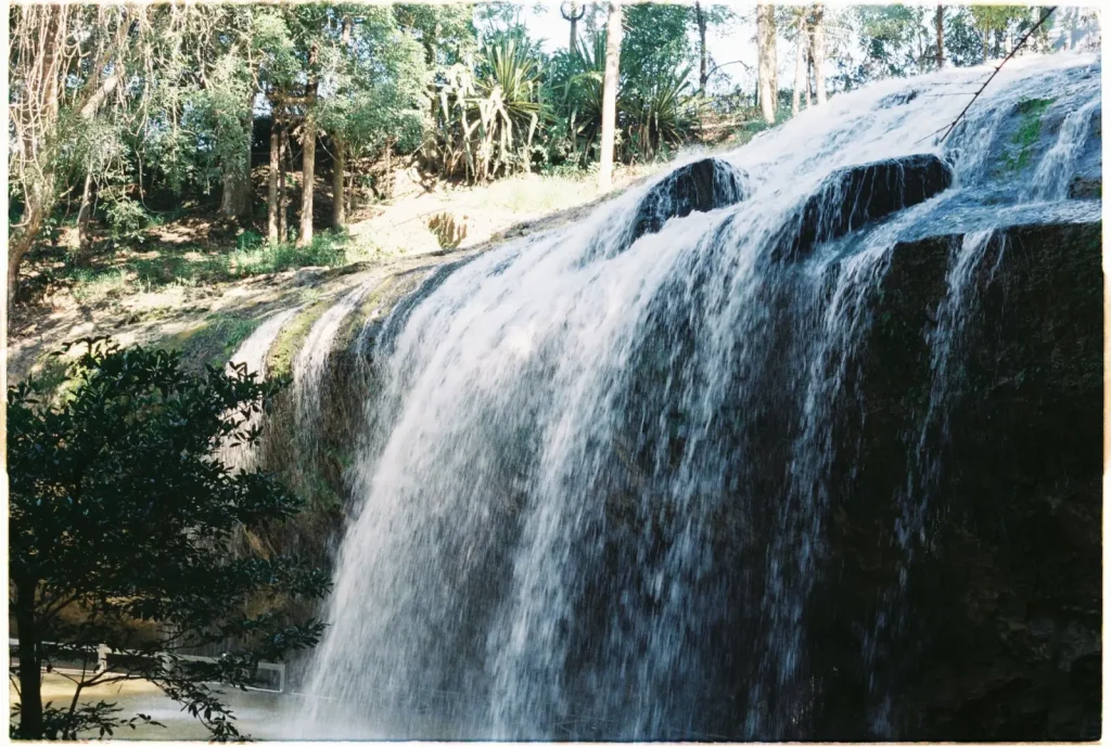 What to Expect at Josephine Falls and Its Forest Setting