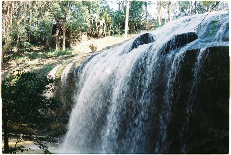 What to Expect at Josephine Falls and Its Forest Setting What to Expect at Josephine Falls and Its Forest Setting