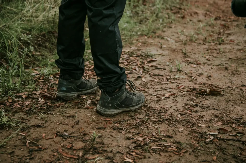 Walking the Mount Warning Forests: What the Experience Actually Demands