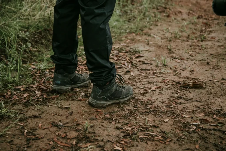 Walking the Mount Warning Forests: What the Experience Actually Demands Walking the Mount Warning Forests: What the Experience Actually Demands