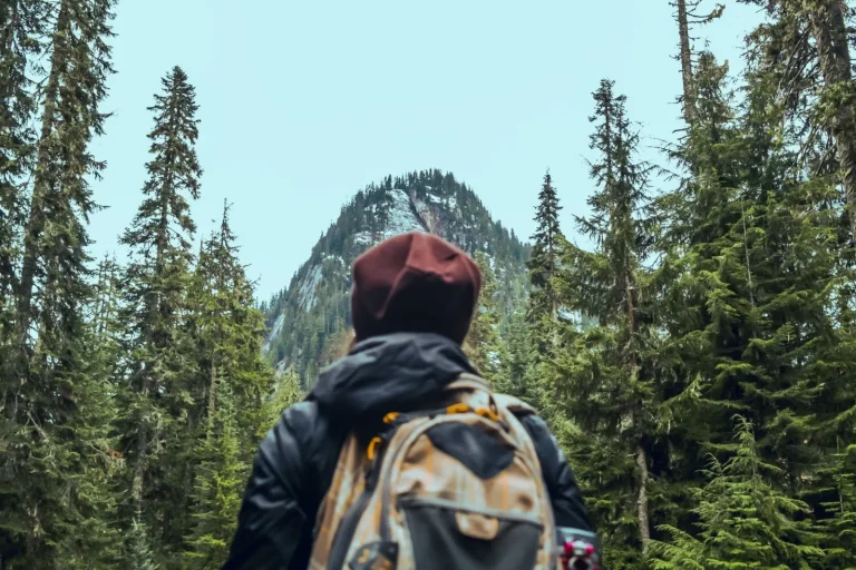 Walking Mount Nebo's Forest Trails: What the Path Actually Demands