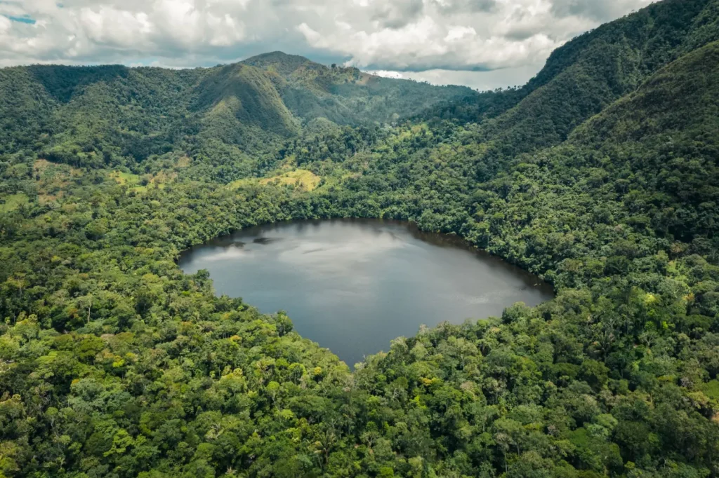 Lake Barrine Walk: What the Terrain Actually Demands