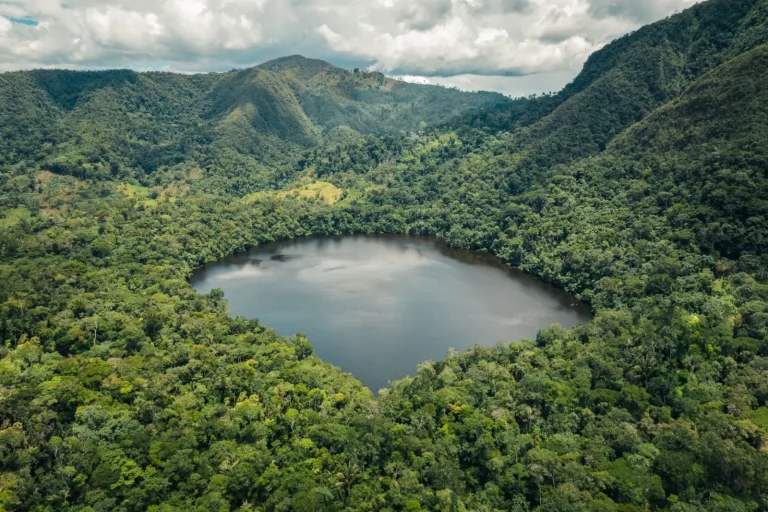 Lake Barrine Walk: What the Terrain Actually Demands