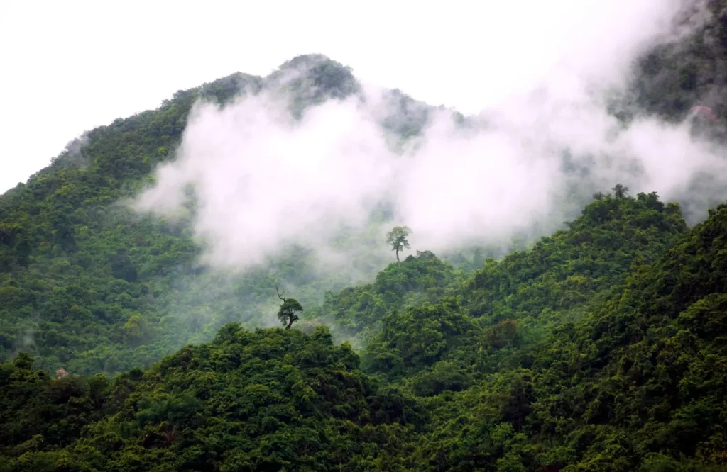 How Tropical Mountains Create Their Own Clouds