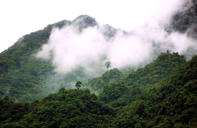 How Tropical Mountains Create Their Own Clouds