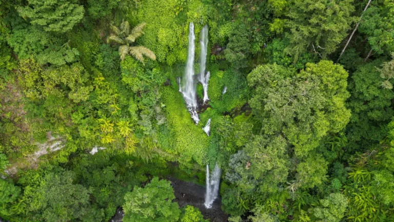 Rainforest Navigation Around Crystal Cascades