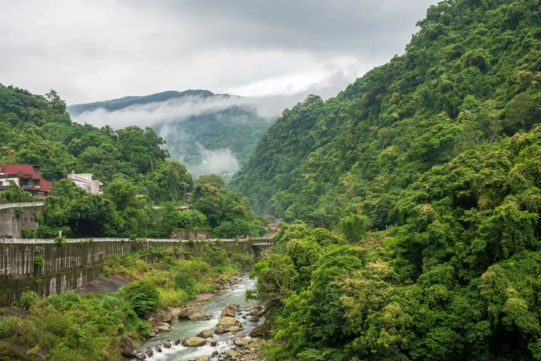 Why Rainforests Thrive on Mountain Slopes