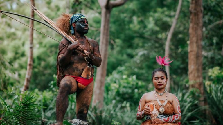Aboriginal Plant Knowledge in Rainforest Ecosystems