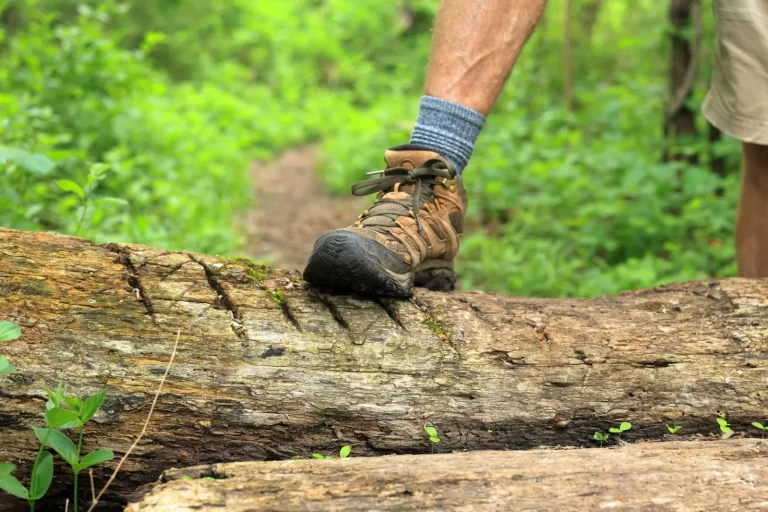 Walking Kuranda's Rainforest Trails: What the Reality Looks Like