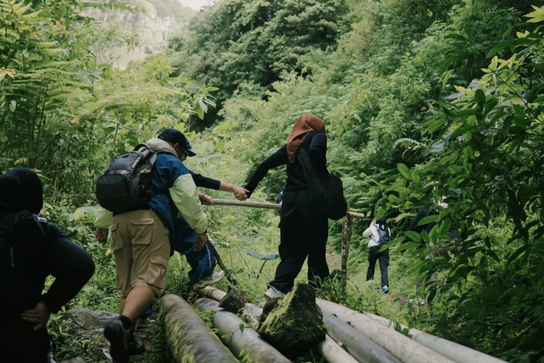 Rainforest Trips With Kids: What Actually Works