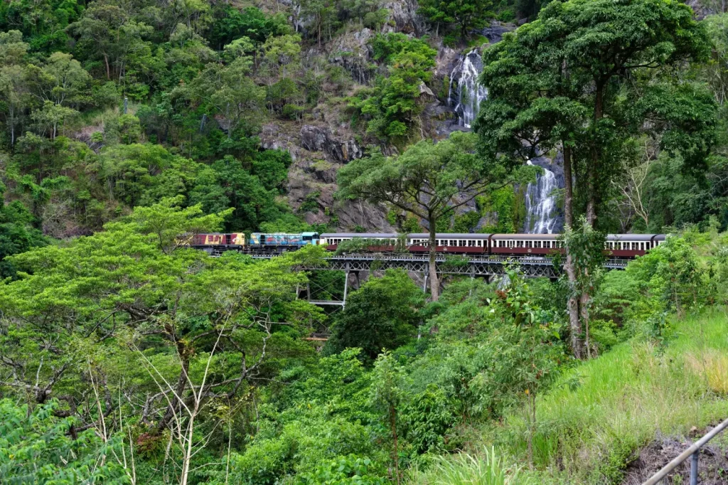Wooroonooran's Waterfalls and Gorges: What the Terrain Actually Demands
