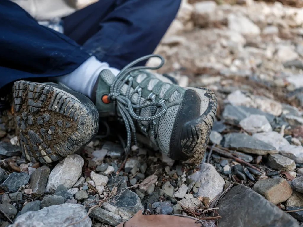 Walking the Blue Mountains: What the Forest Actually Demands