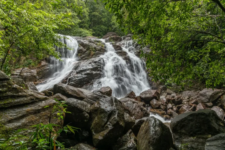 Dorrigo's Waterfalls: What the Wet Season Actually Delivers Dorrigo's Waterfalls: What the Wet Season Actually Delivers