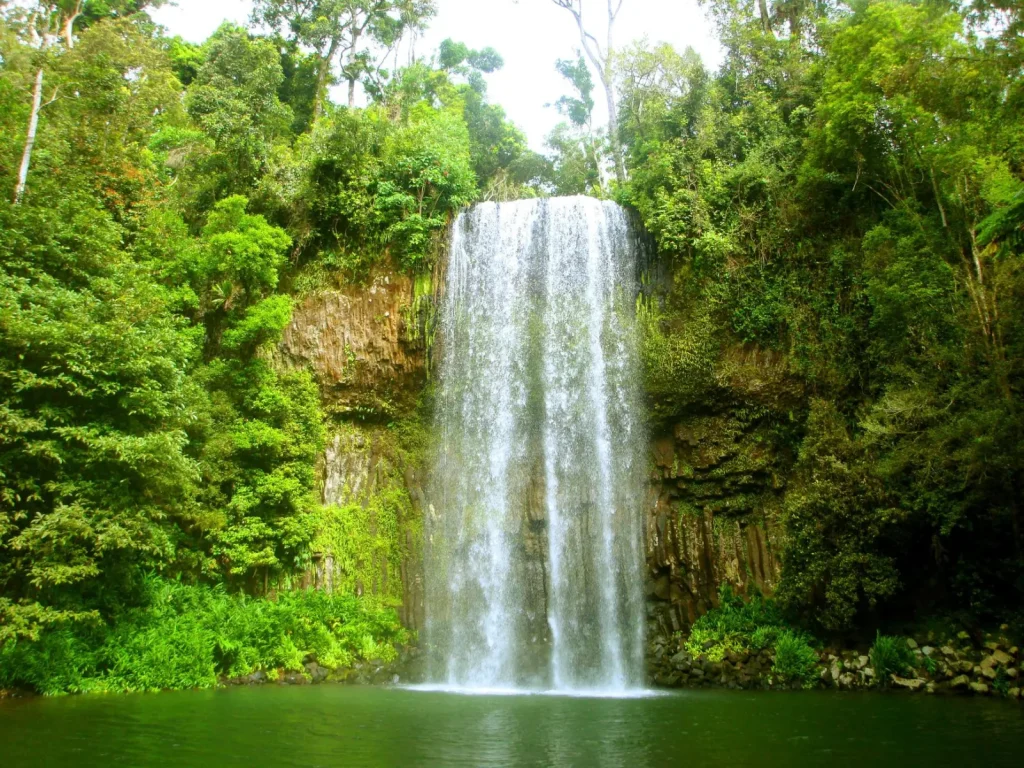 Rainforest Waterfalls Near Port Douglas: What Actually Works