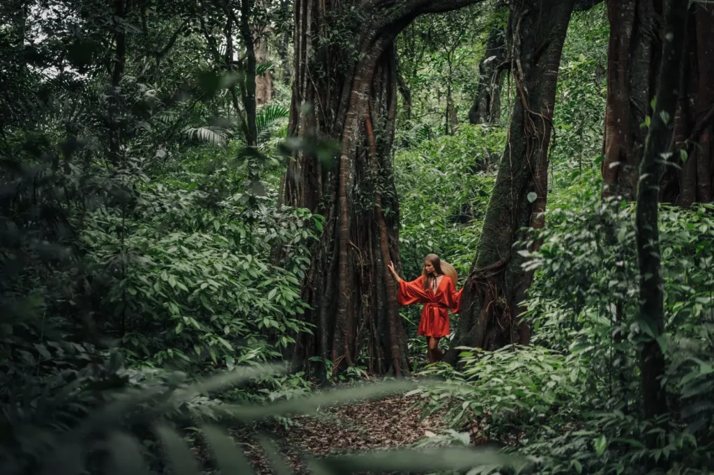 Rainforest walks near Townsville: what actually works