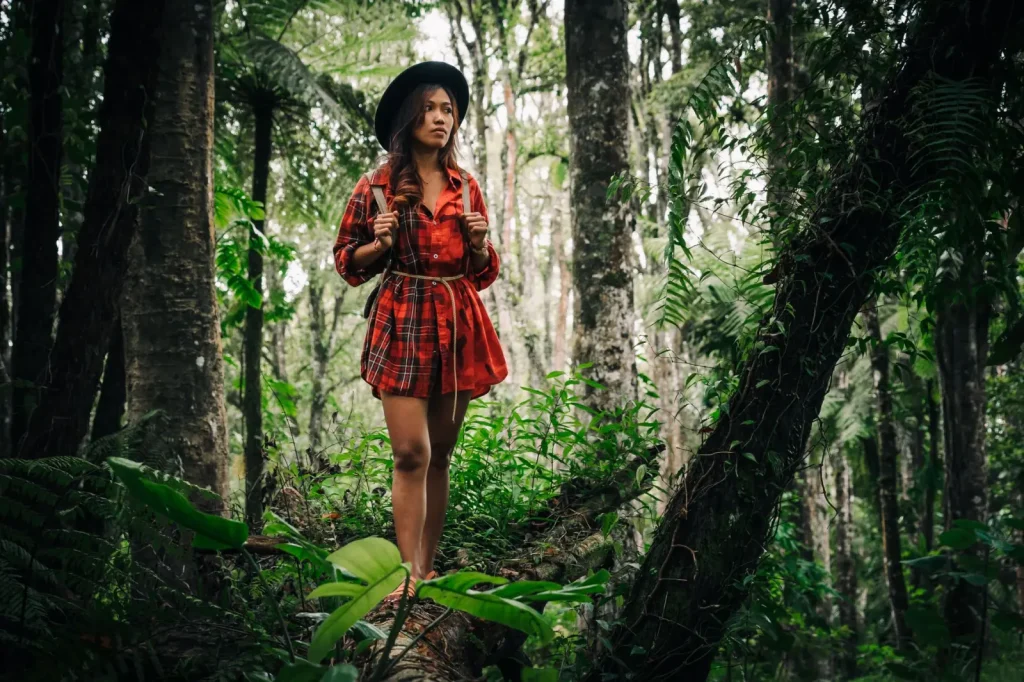 Night Walking in Rainforests: What Actually Happens
