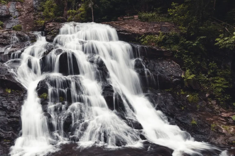 Rainforest Waterfalls After Rain: When Water Flow Peaks Rainforest Waterfalls After Rain: When Water Flow Peaks