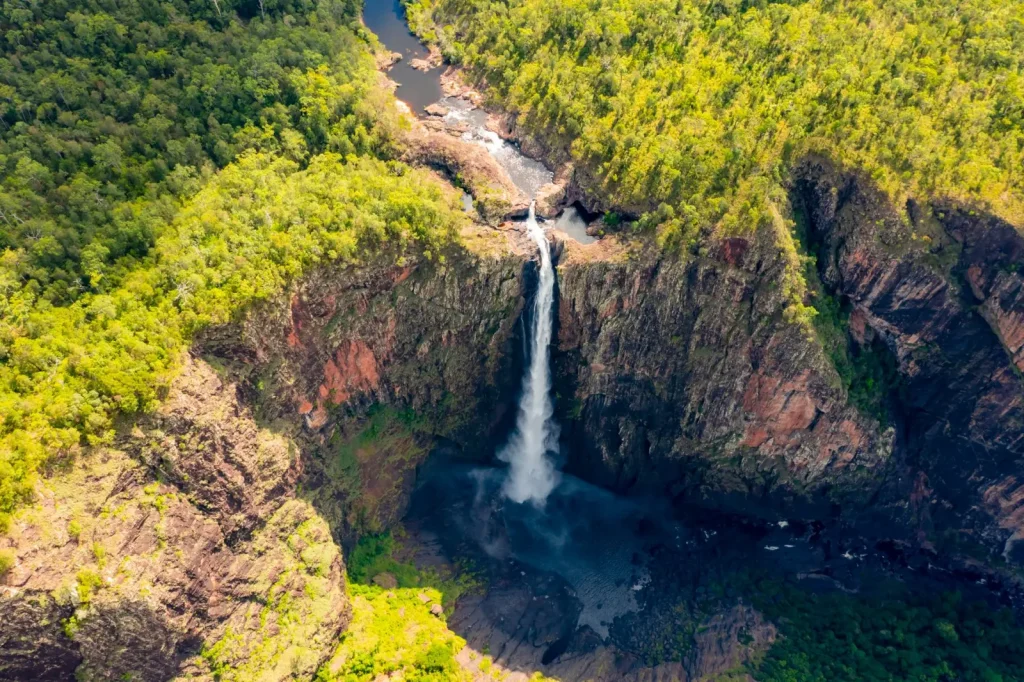 Forest Trails Around Wallaman Falls: What to Expect