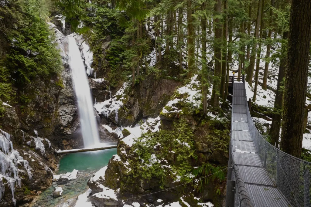 Hiking Protestors Falls: What the Forest Demands