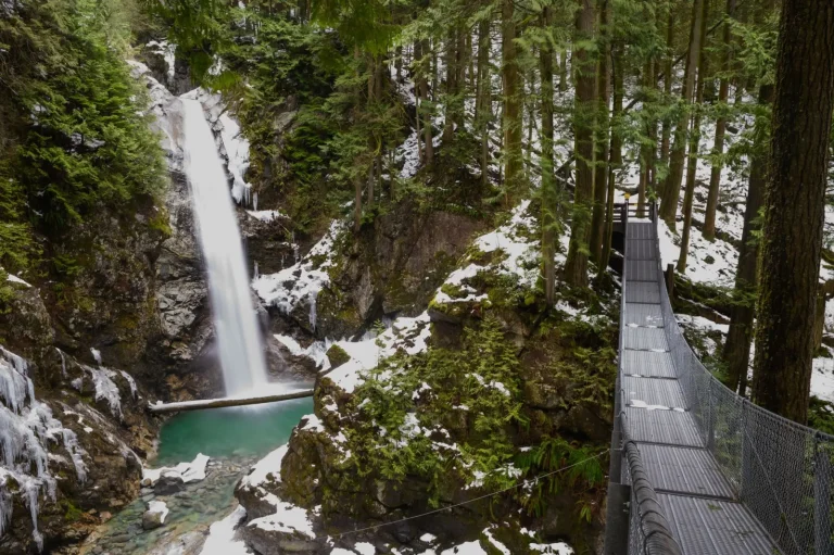 Hiking Protestors Falls: What the Forest Demands Hiking Protestors Falls: What the Forest Demands