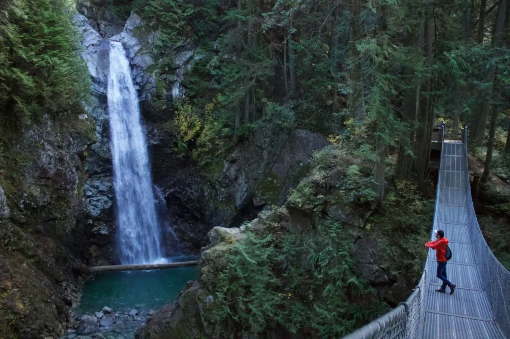 Forest Trails Around Emerald Creek Falls