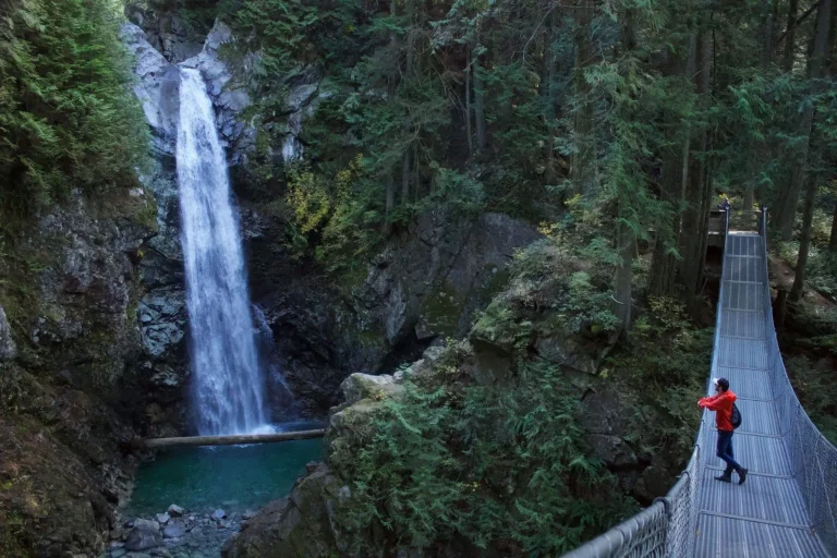 Forest Trails Around Emerald Creek Falls