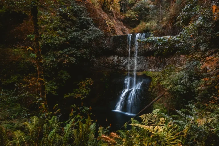 Rainforest Waterfalls Worth the Walk