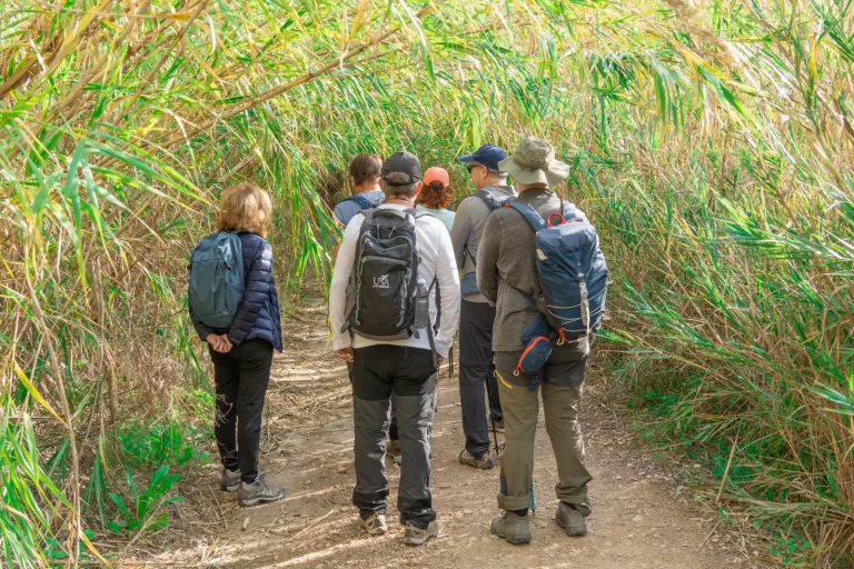 Walking Cooktown's Forests: What the Reality Looks Like