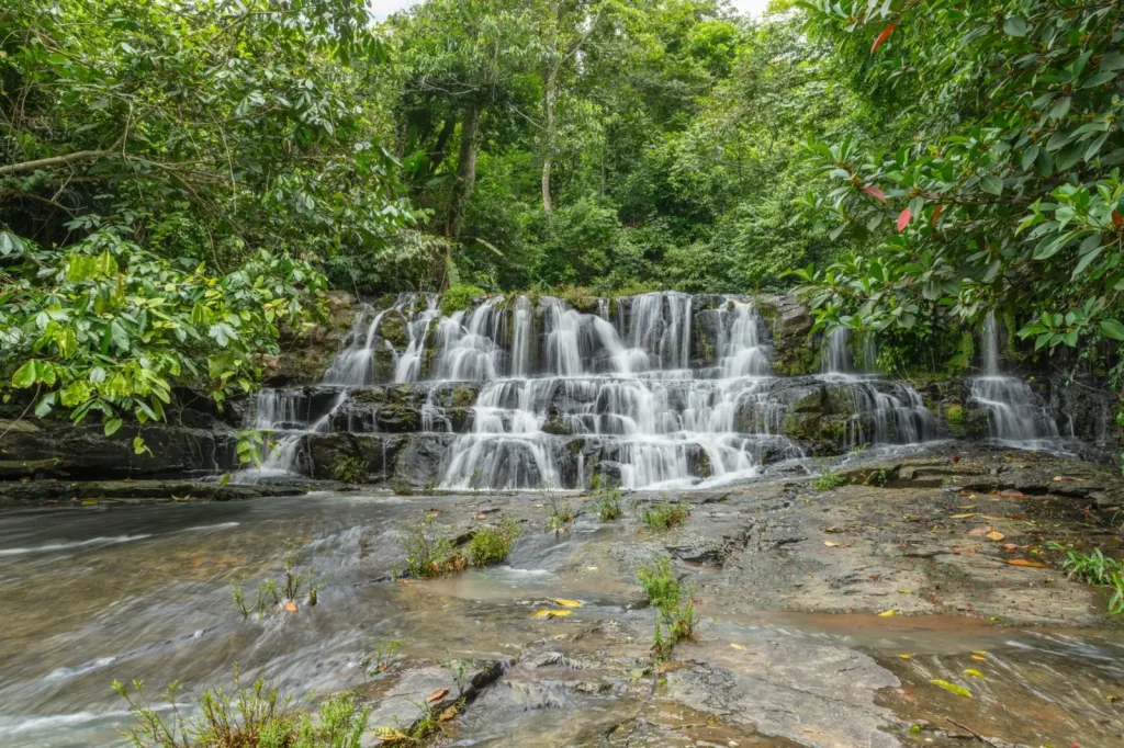 Rainforest Waterfalls Create Distinct Ecosystems